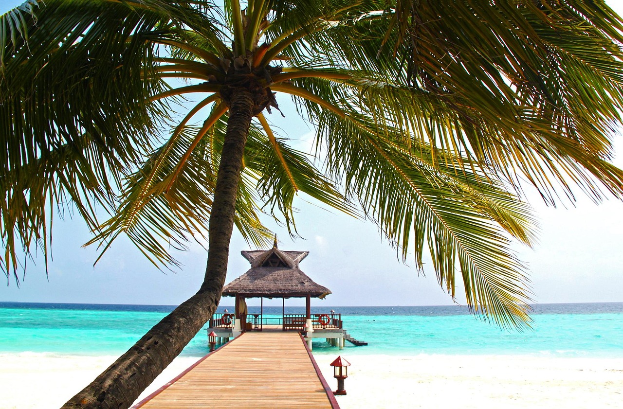 Why A Luxury Resort In Maldives Should Be Your Next Vacation Destination?