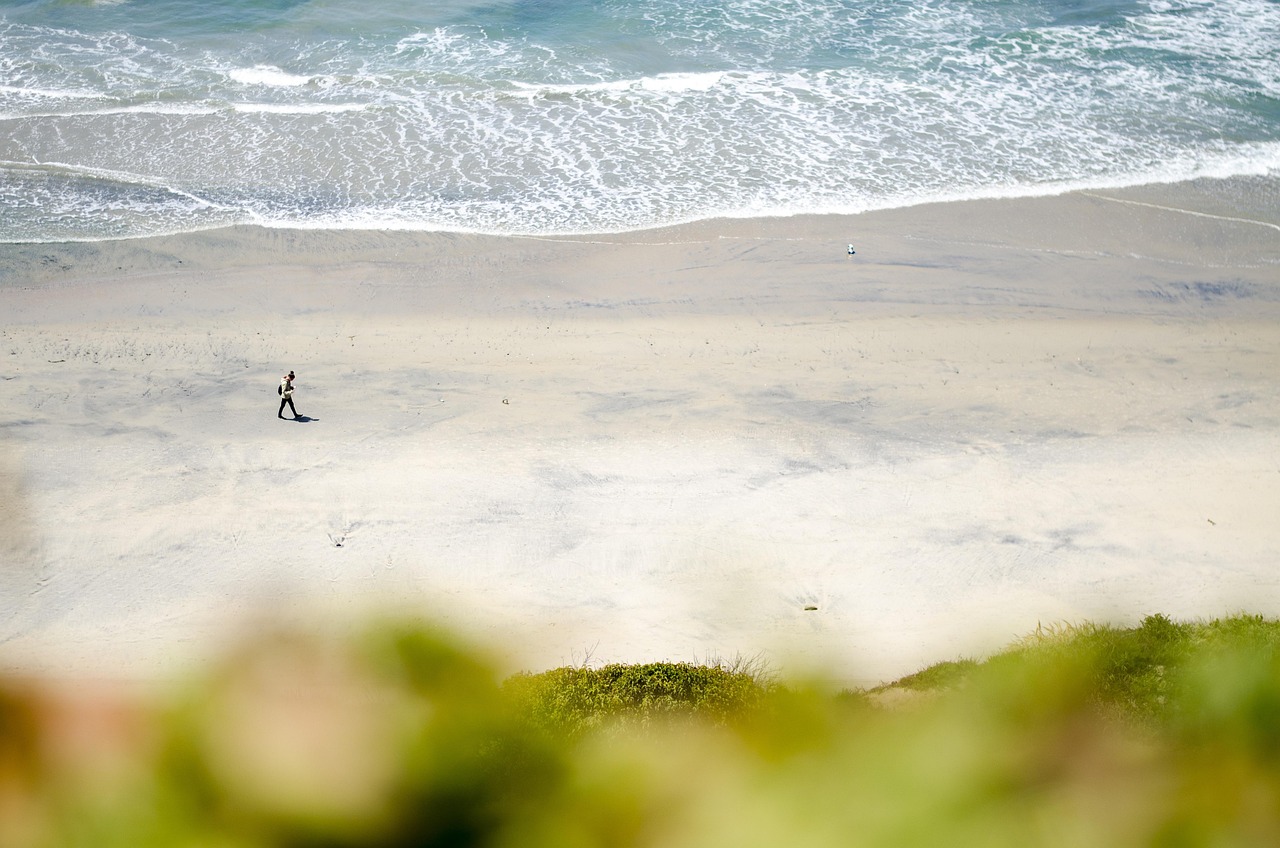Plastic Surgery in San Diego: Choosing the Right Board-Certified Surgeon in 2026
