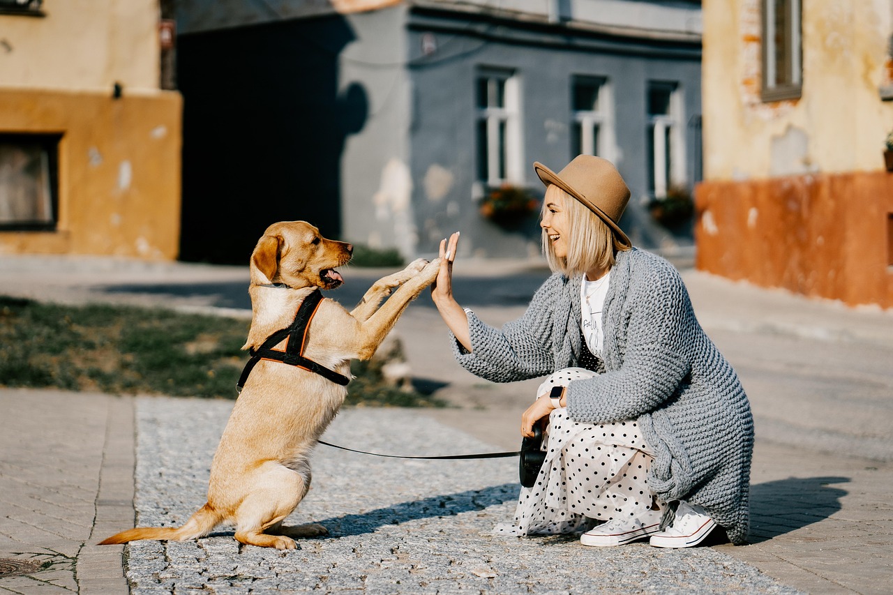 Your Ultimate Guide to Sourcing High-Quality PET Preforms in Delhi, India: A Buyer's Handbook