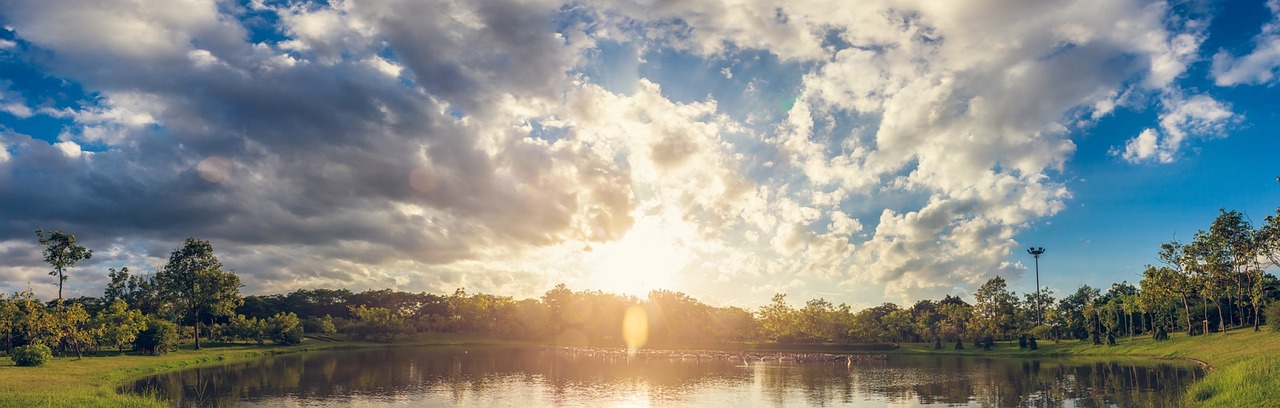 Why Palm Park is the Perfect Neighborhood for First-Time Homebuyers in Redwood City?