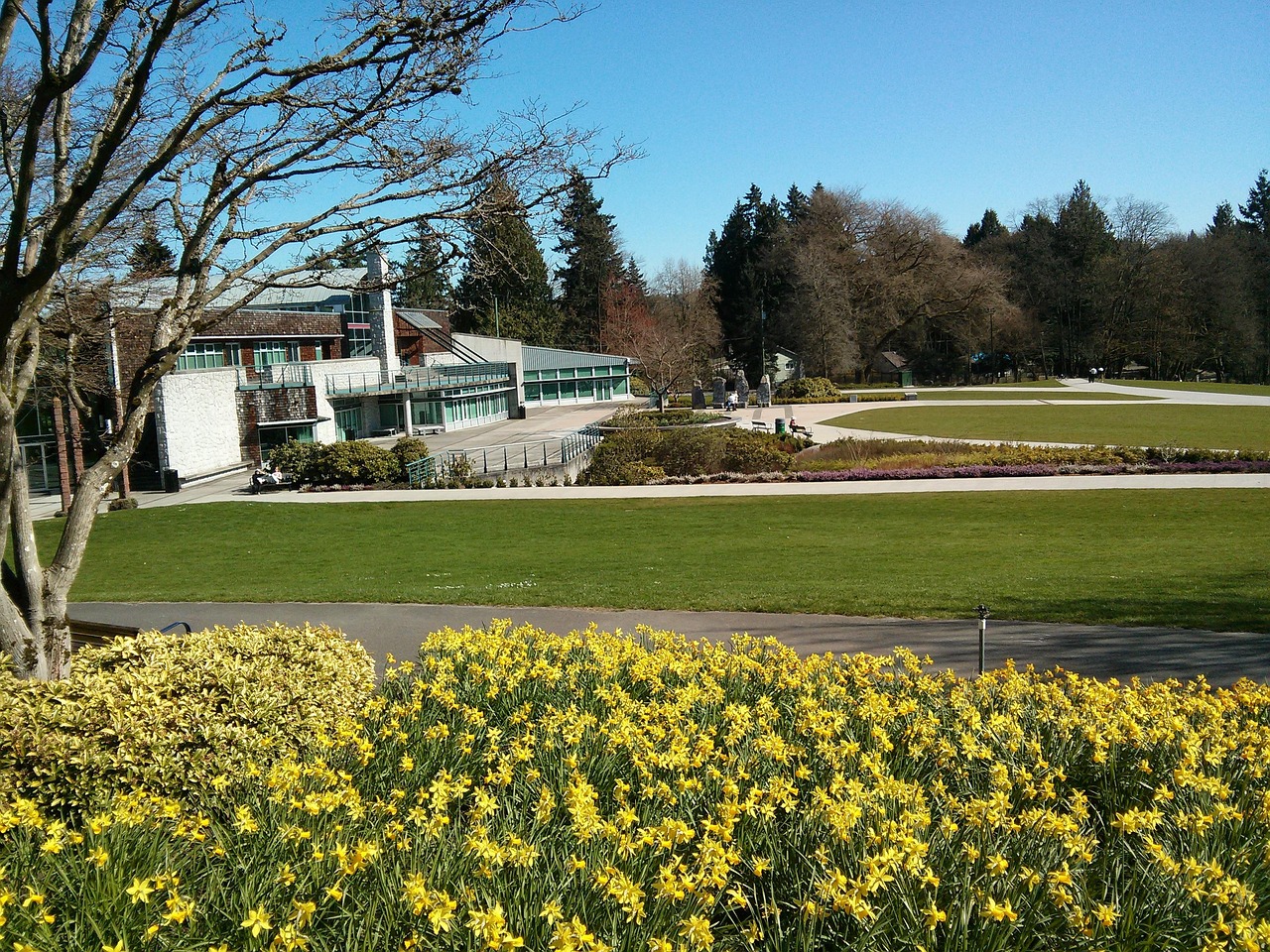 Why Are Burnaby Businesses Turning To Composable DXP Services In 2024?