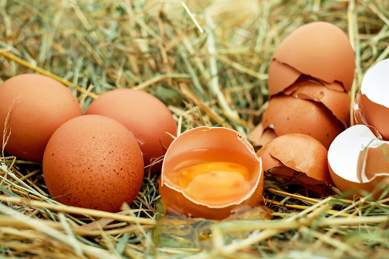 Asian Egg Donation: Understanding Your Options as an Intended Parent in 2026